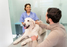 What If Your Pet Needs Care Beyond the Basics?