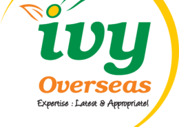 Best Overseas education consultants in Hyderabad