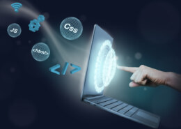 Why Dignizant Progressive Web Application Development?